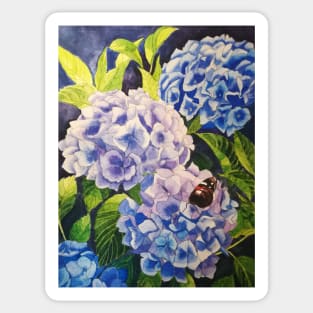 Blue hydrangeas watercolour painting Sticker